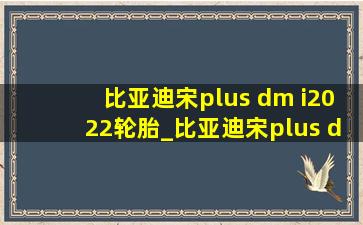 比亚迪宋plus dm i2022轮胎_比亚迪宋plus dm i2022